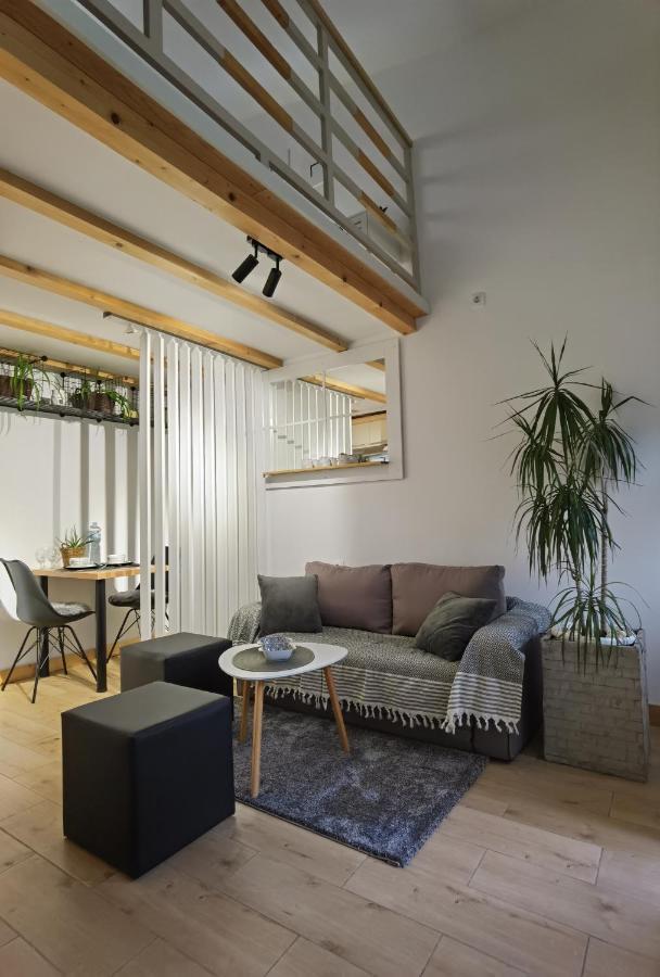 Apartment Zona 1 Zrenjanin